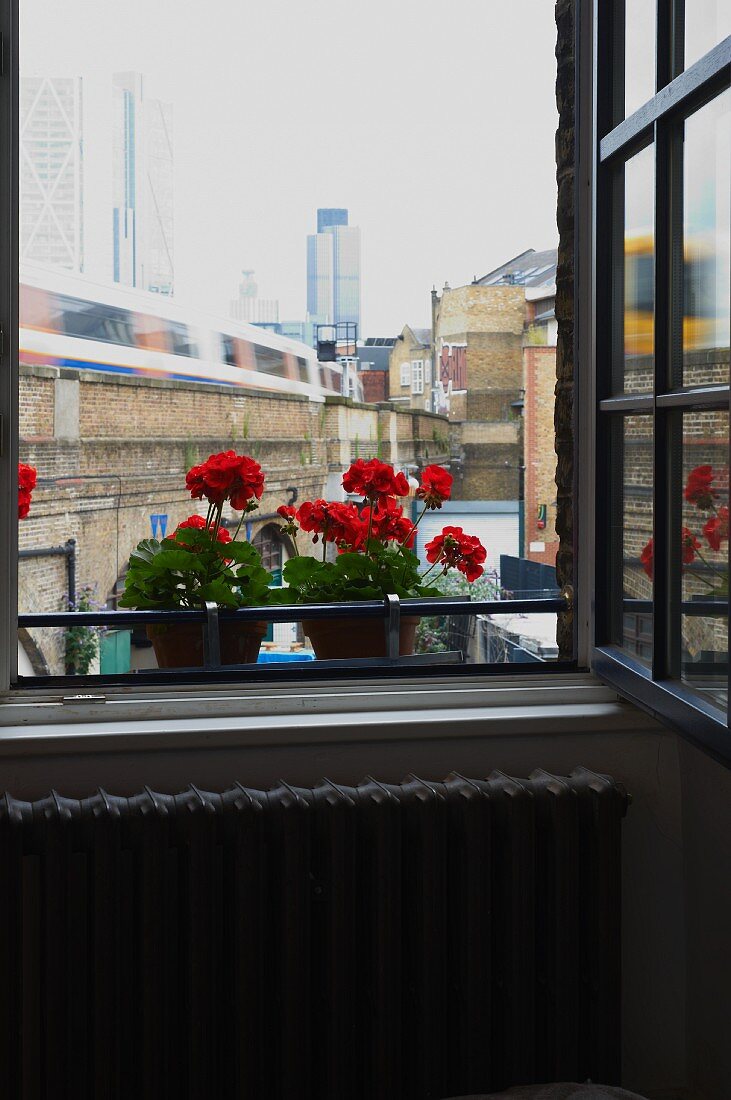 Open window with view of cityscape and potted red geraniums on windowsill