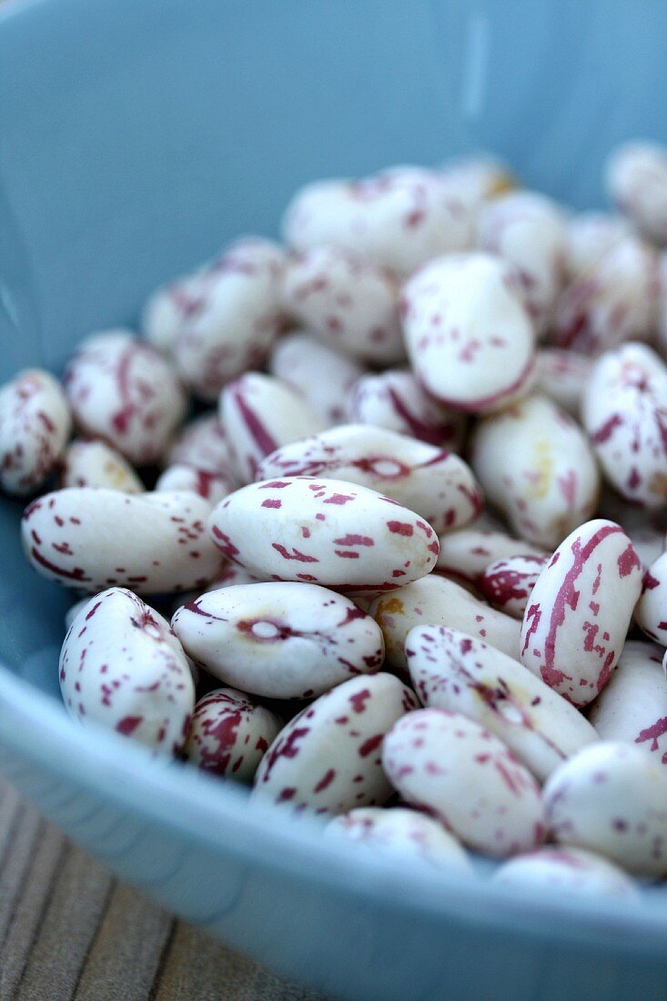 Borlotti beans (close-up)