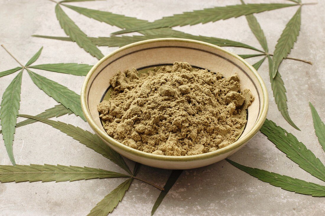 A bowl of protein-rich hemp seed powder