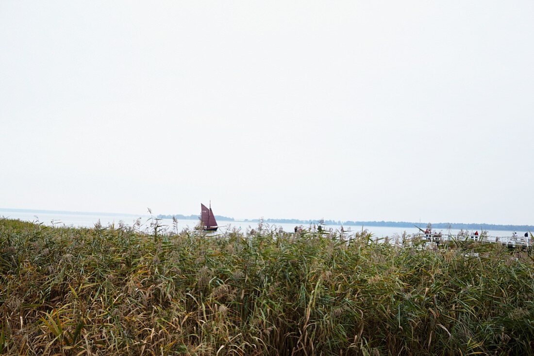 Ein Zeesboot bei Darß auf der Ostsee