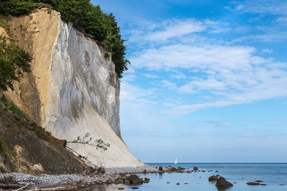 Blick auf Kreidefelsen im Nationalpark Jasmund auf Rügen