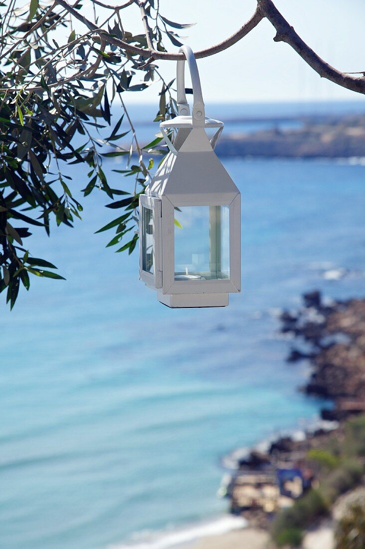 White lantern hung from tree and view of sea coast