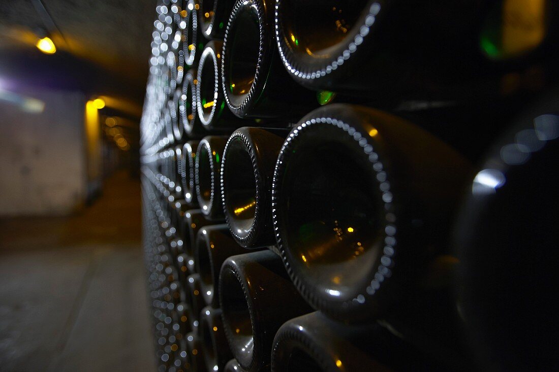 A close-up of bottle bottoms in an aisle of a wine cellar