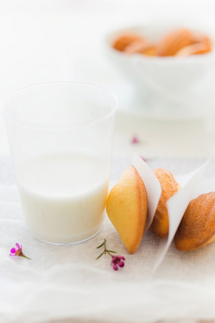 Madeleines and a glass of milk