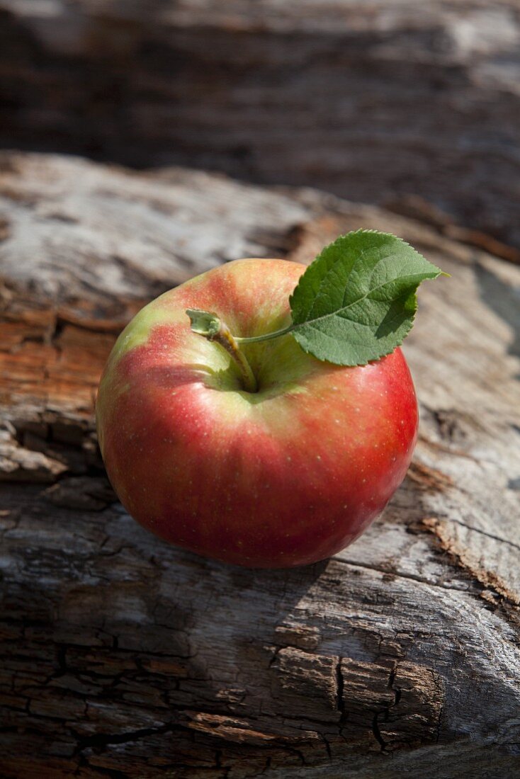 Apfel auf Holzstamm