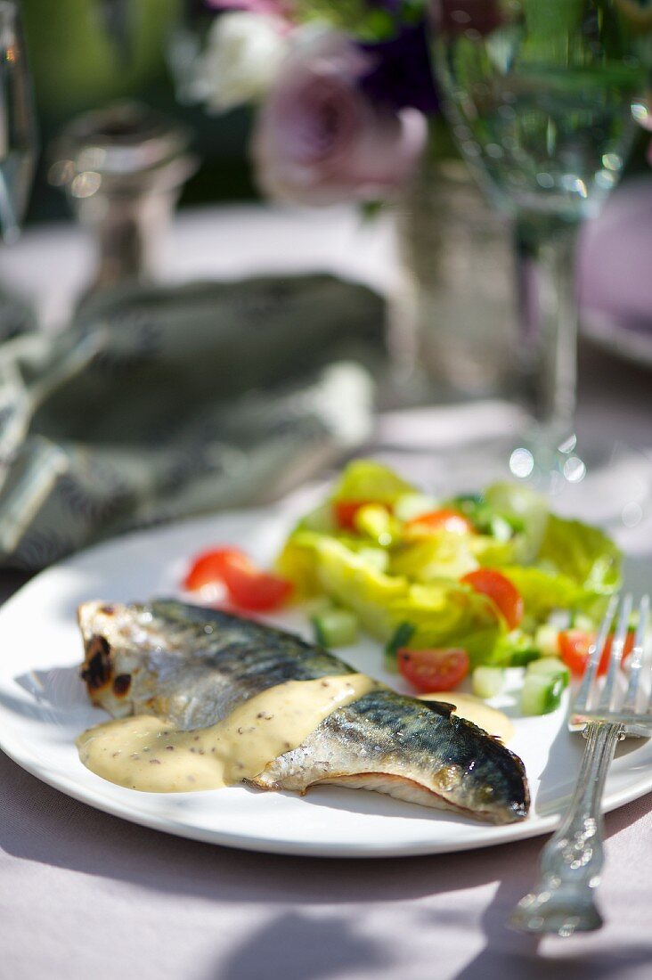 Grilled mackerel fillet with a mustard and mayonnaise sauce