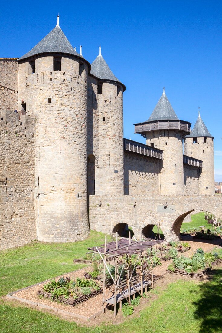 A herb garden at the citadel of Carcassonne (France)