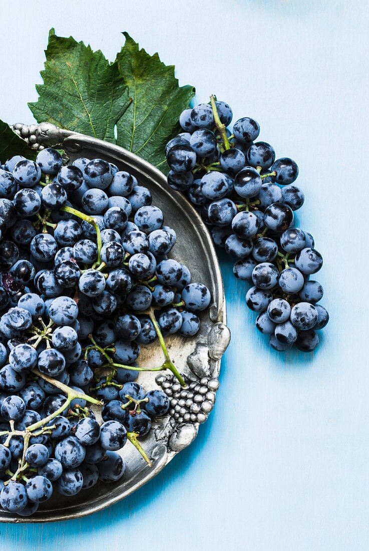Blue grapes on a metal plate and next to it