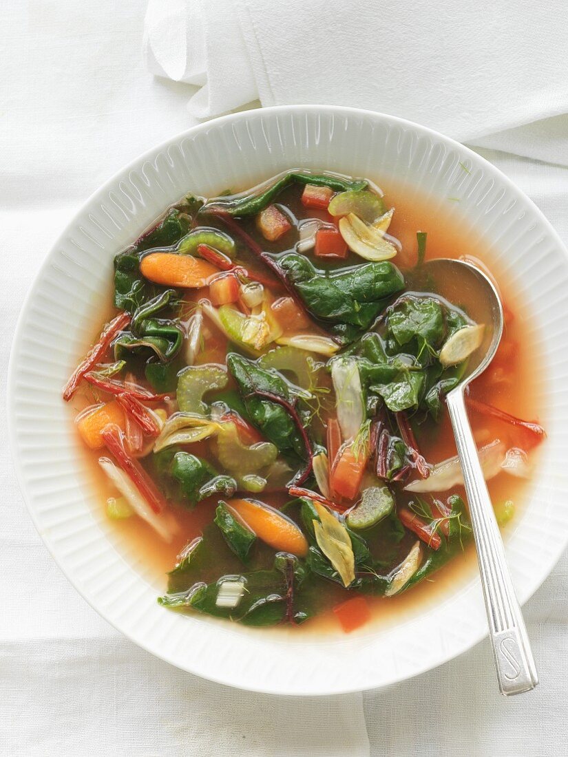 Garden vegetable soup with carotts, chard and celery