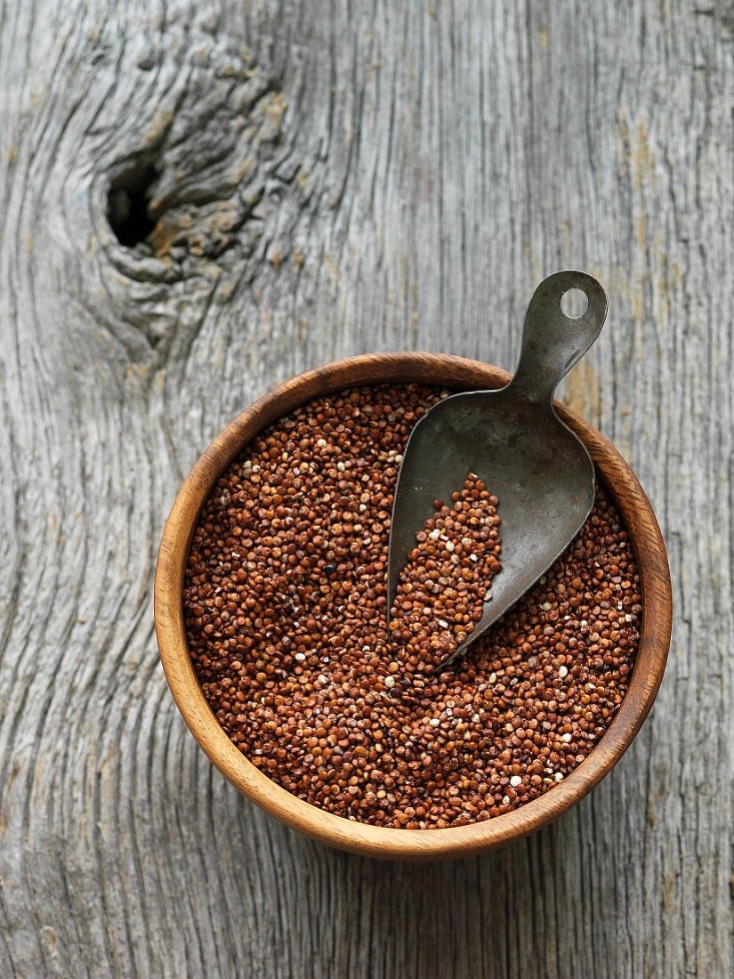 Roter Quinoa in Holzschale mit Schaufel