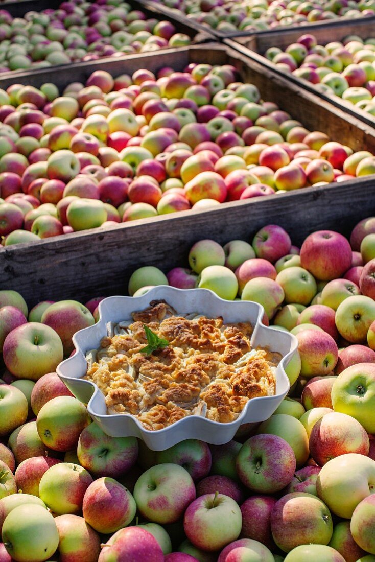 Schwedischer Apfelkuchen auf Äpfeln in großen Holzkisten