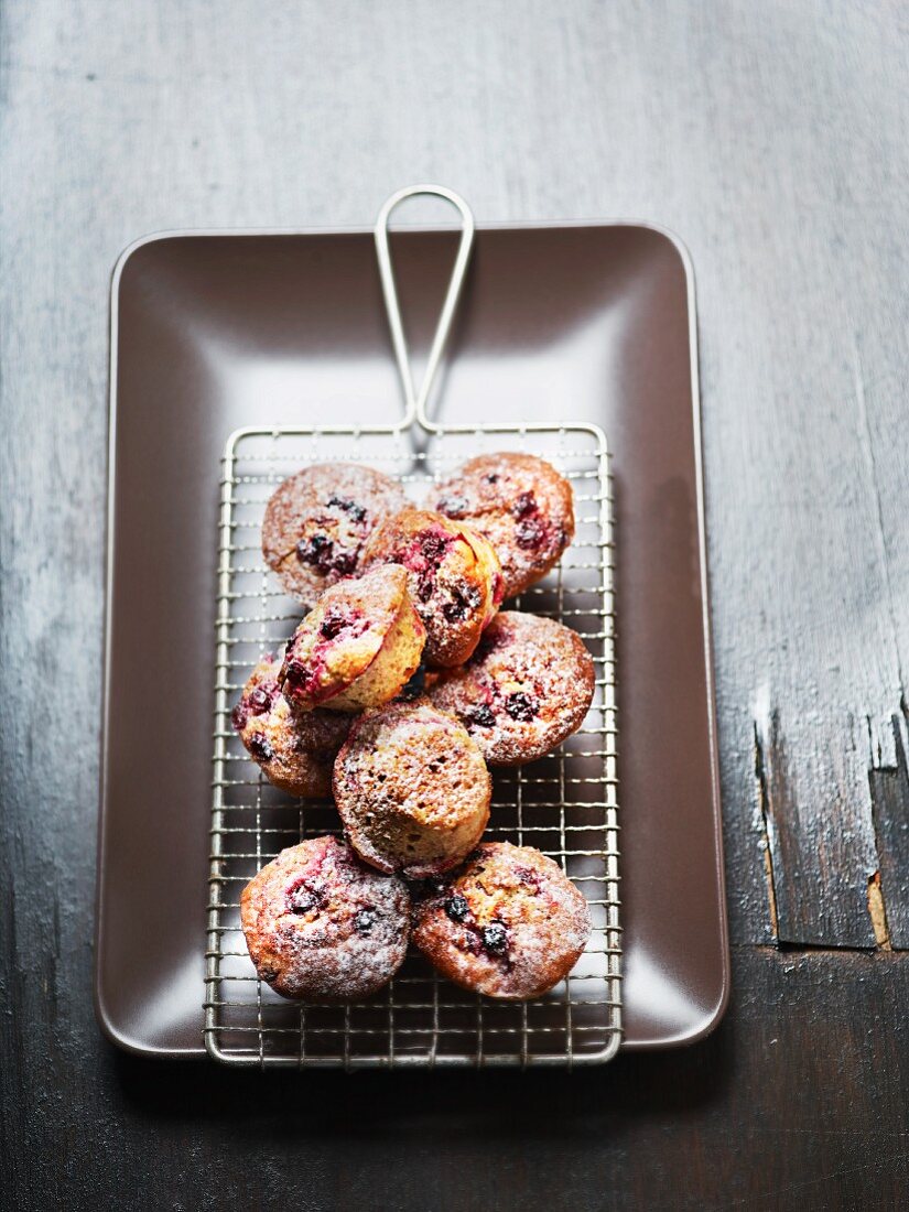 Mini-Muffins mit Heidelbeeren und Puderzucker