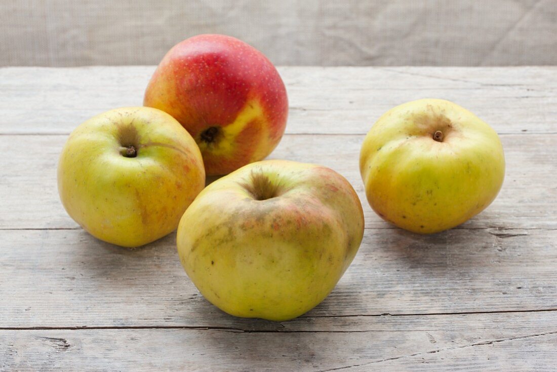 Four organic Rheinischer Winterrambur apples on a wooden surface