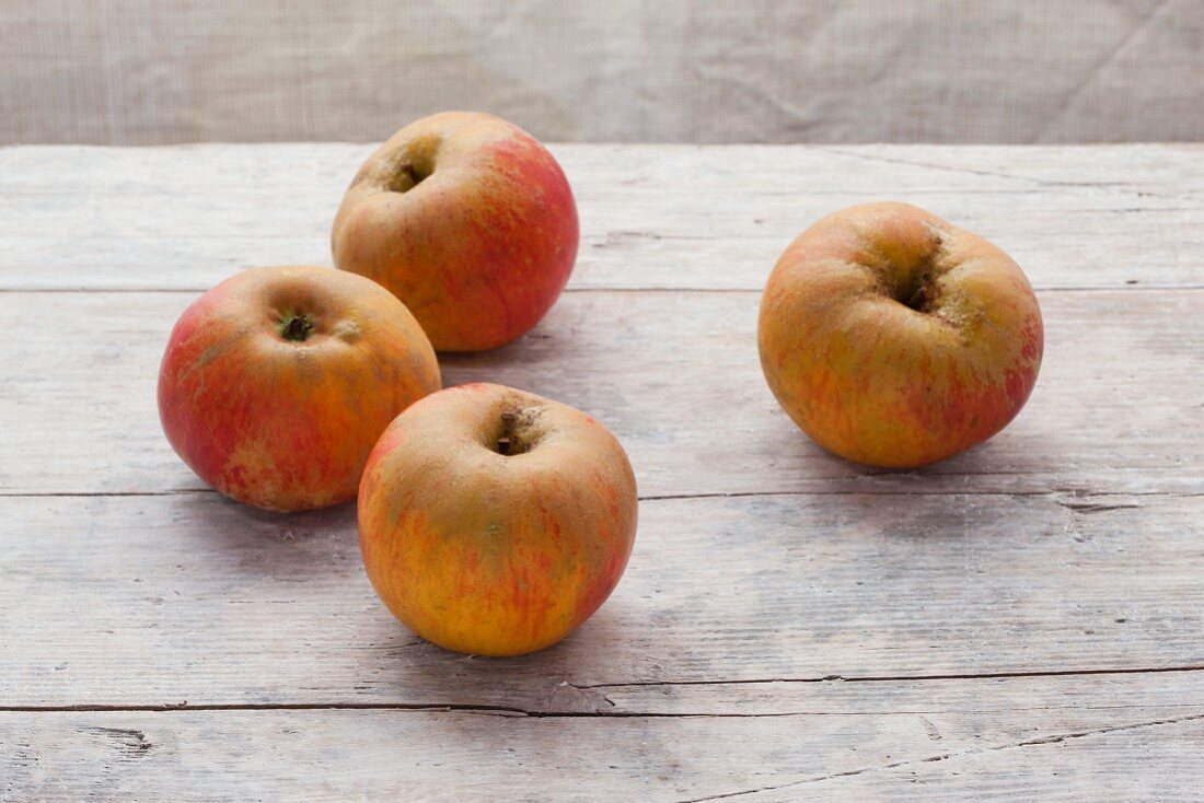 Vier Bio-Äpfel der Sorte Lederapfel auf Holzuntergrund