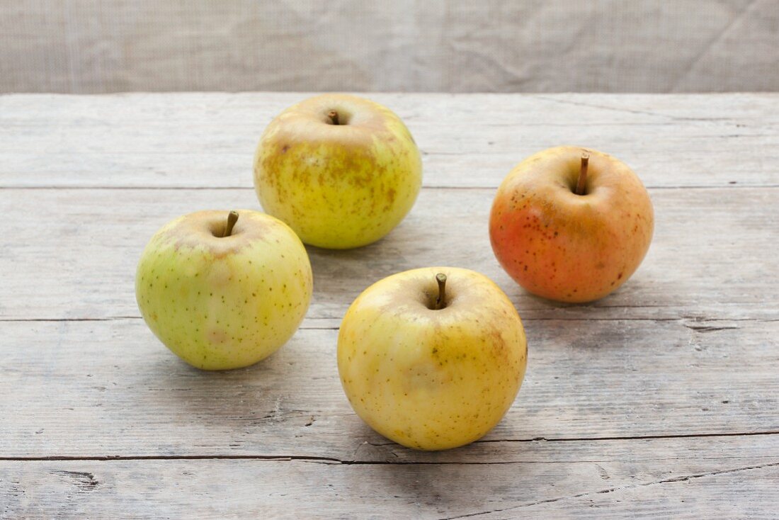 Vier Bio-Äpfel der Sorte Landsberger auf Holzuntergrund