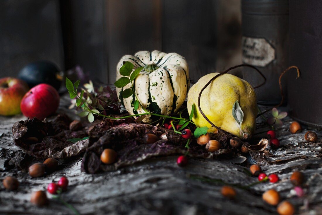 Herbstliches Stillleben mit Kürbis, Quitte, Äpfeln, Haselnüssen und Hagebutten auf Baumrinde