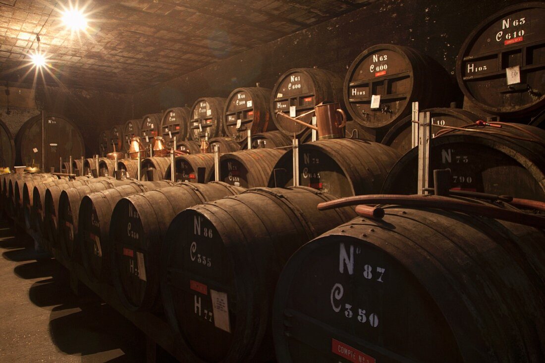 Wooden barrels of Calvados in a wine cellar