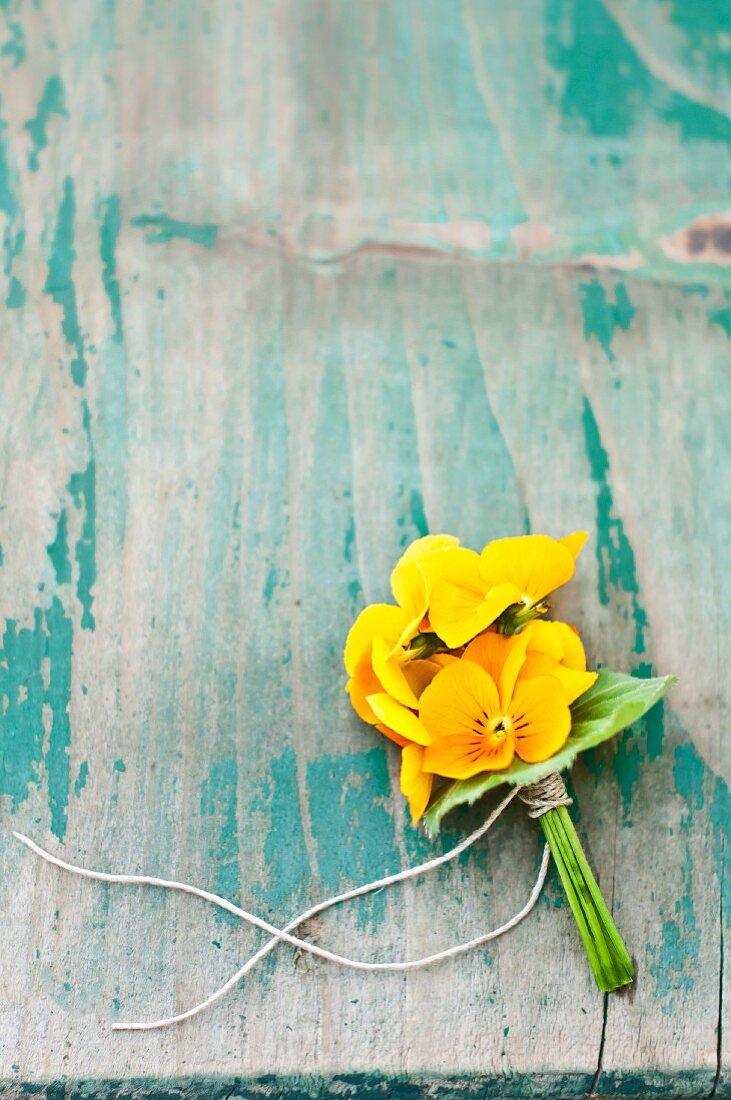 Posy of yellow violas on weathered wooden surface