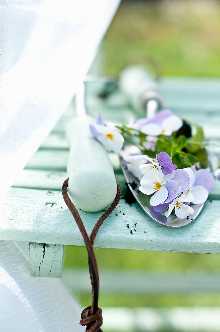 Violas lying on garden trowel on garden chair