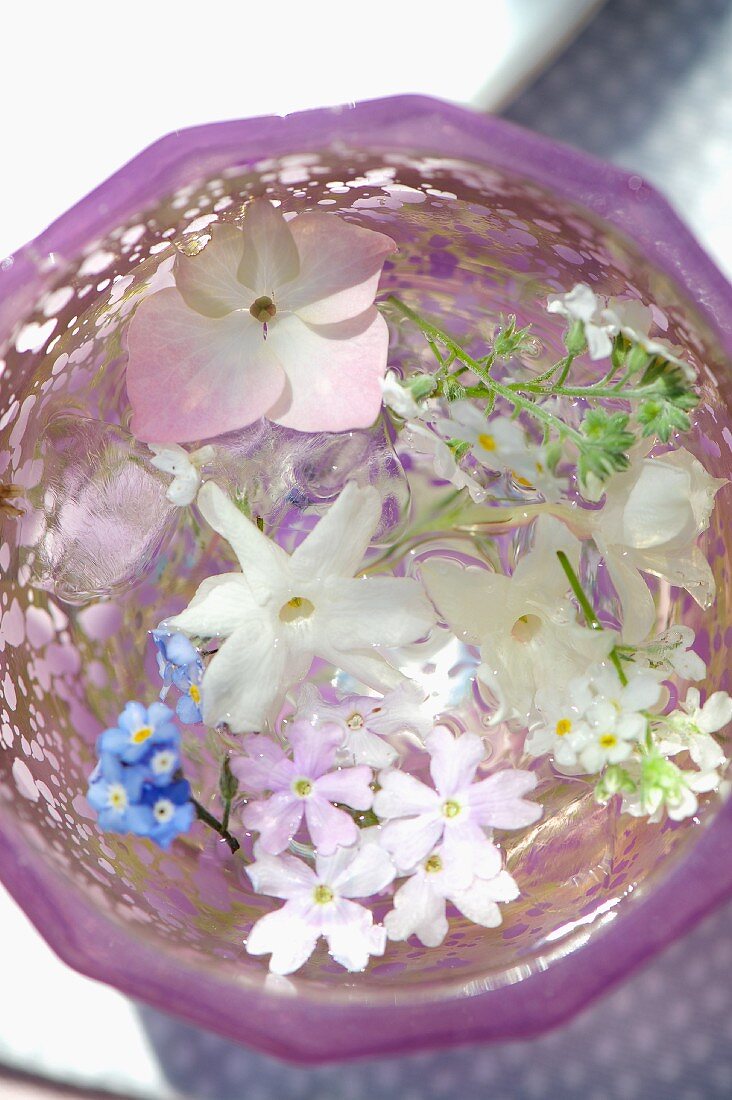 weiße und blaue Blüten schwimmen im Wasserglas