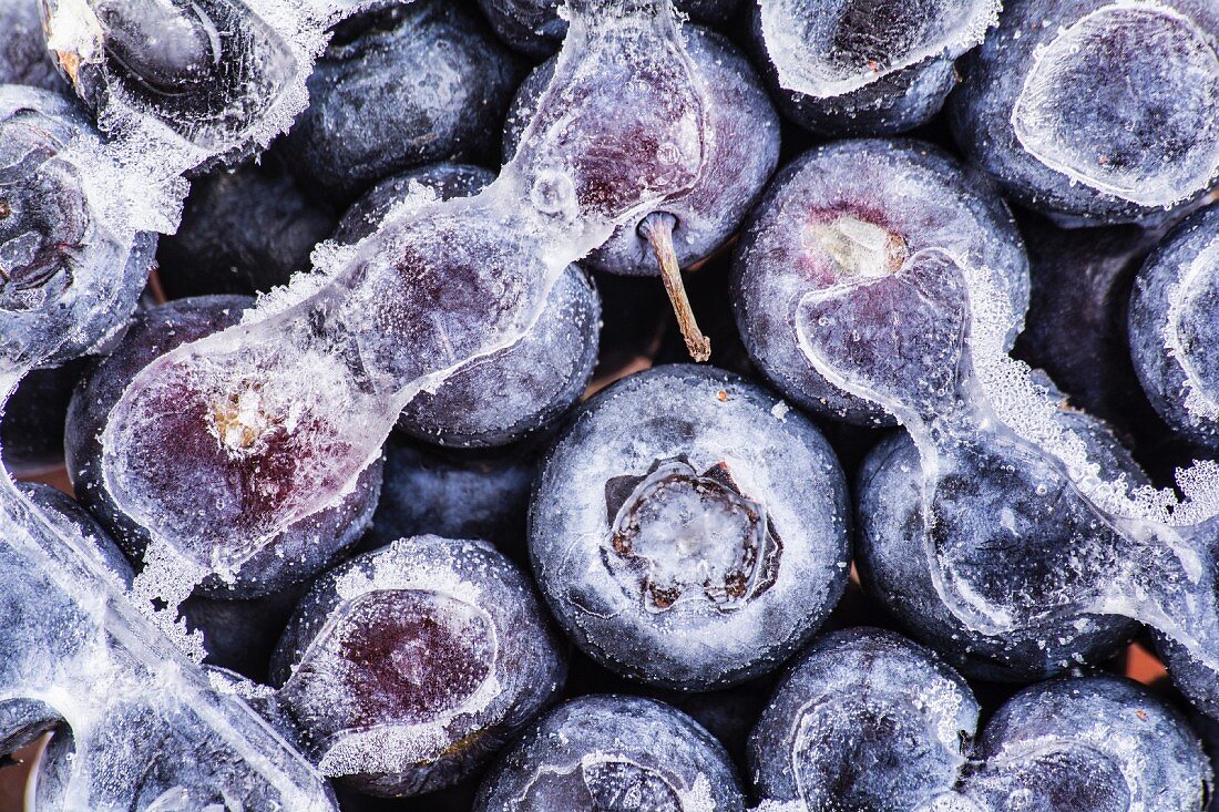 Frozen blueberries (seen from above)