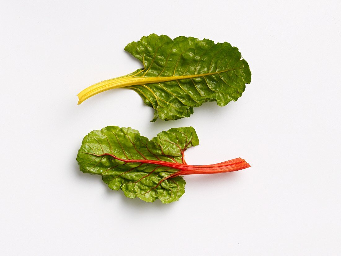 A red chard leaf and a yellow chard leaf