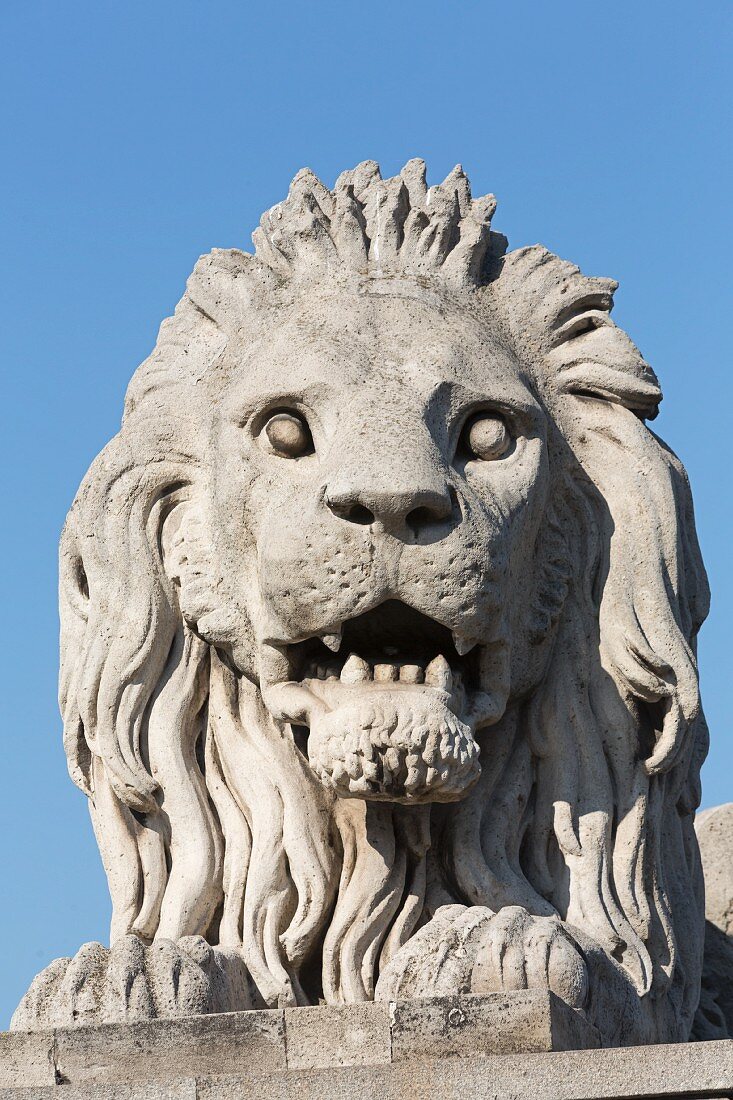 A lion statue on the Chain Bridge, Budapest, Hungary
