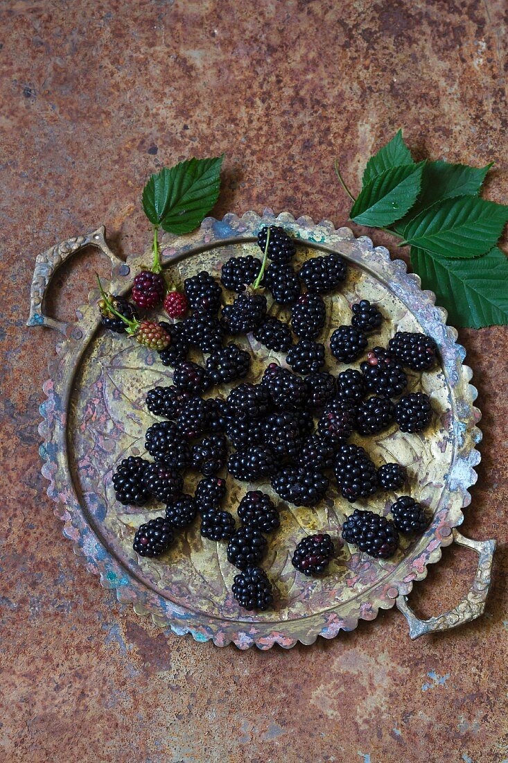 Fresh blackberries on a metal tray