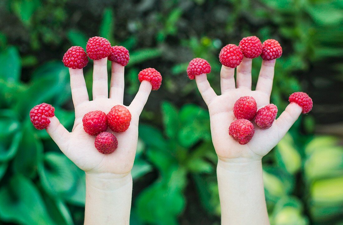 Raspberry hands