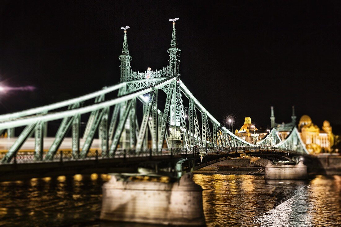 The Liberty Bridge with Turuls on the masts, Budapest, Hungary