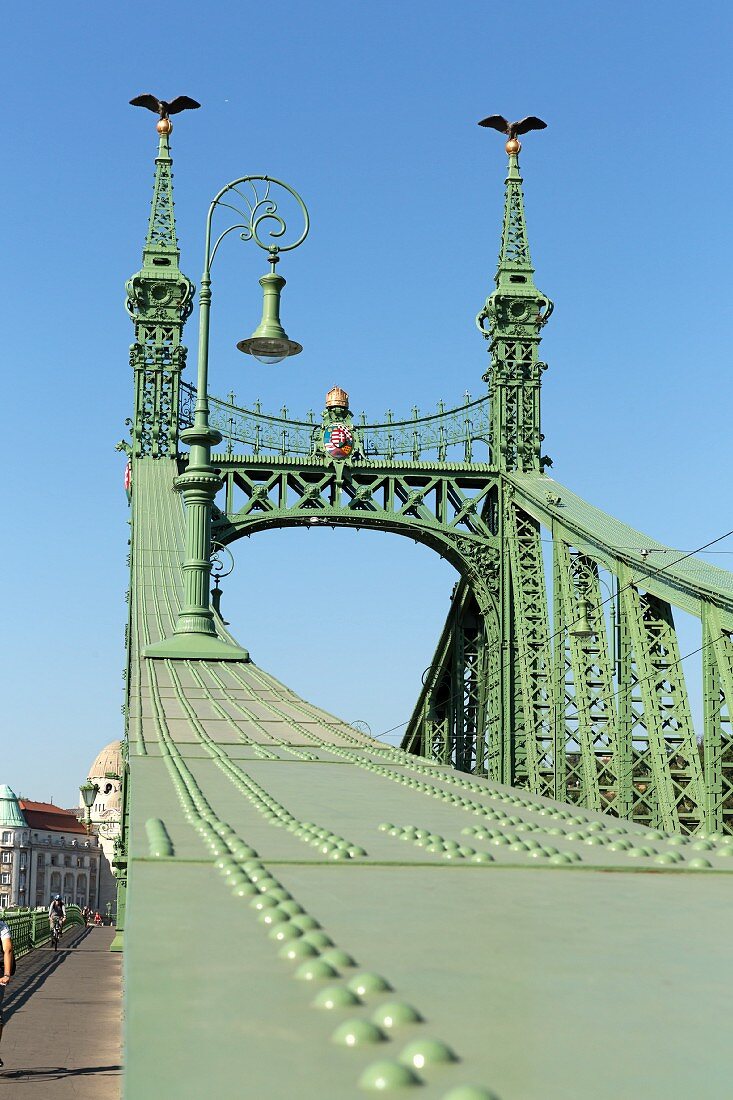 The Liberty Bridge with Turuls on the masts, Budapest, Hungary