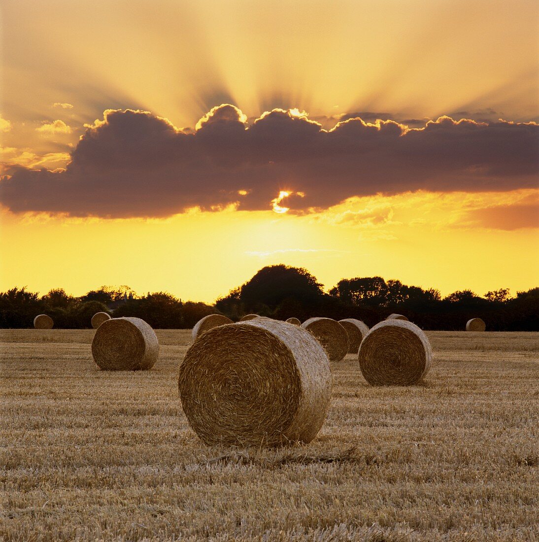 Hay bales in a stubble field at sunset, East Sussex, England