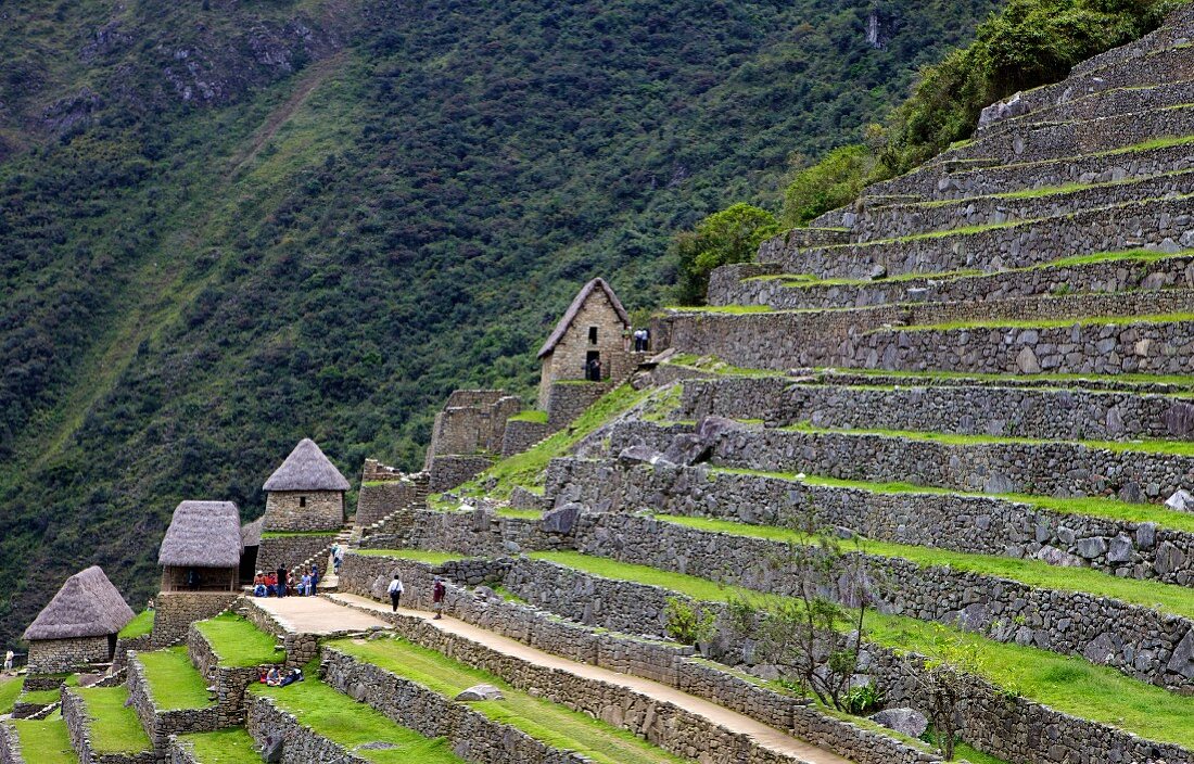 Terrassenanbau in Machu Picchu, die verlorene Stadt der Inkas, die von Hiram Bingham im Jahre 1911 wiederentdeckt wurde; Peru, Südamerika