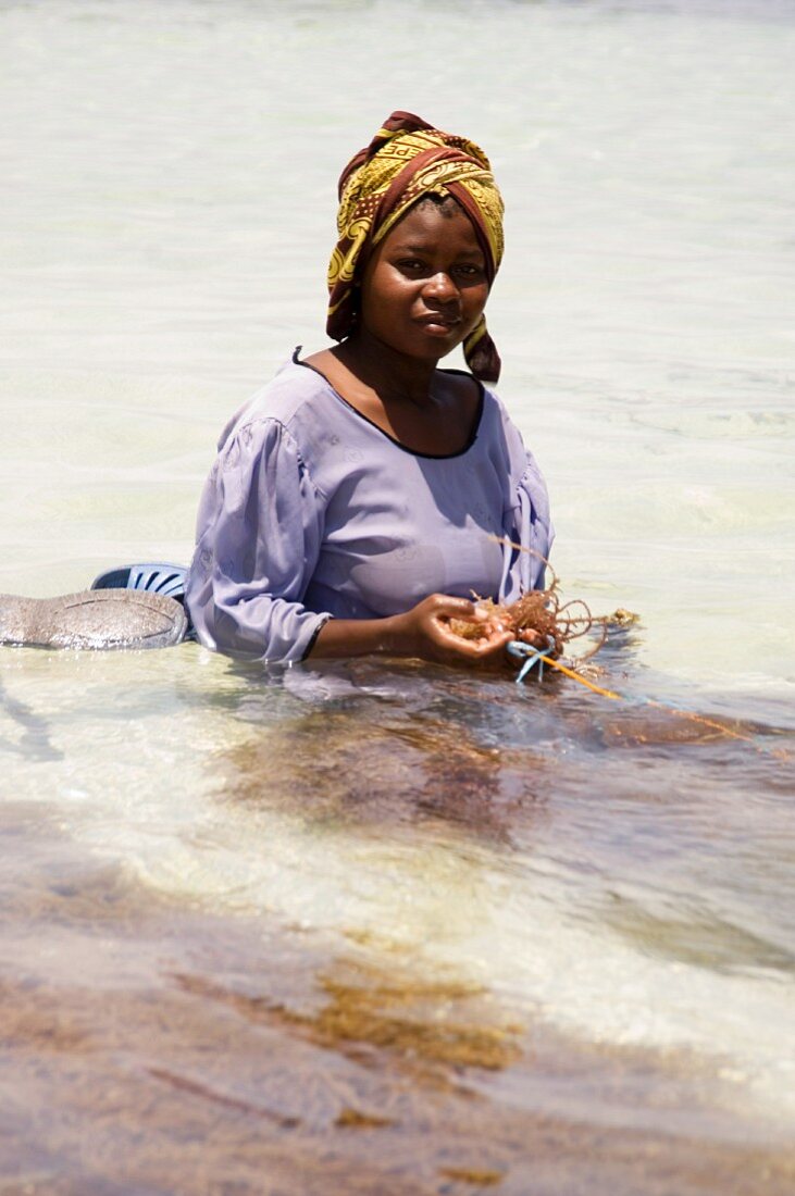 Im Wasser sitzende junge Frau bei der Algenernte; Paje, Ostafrika