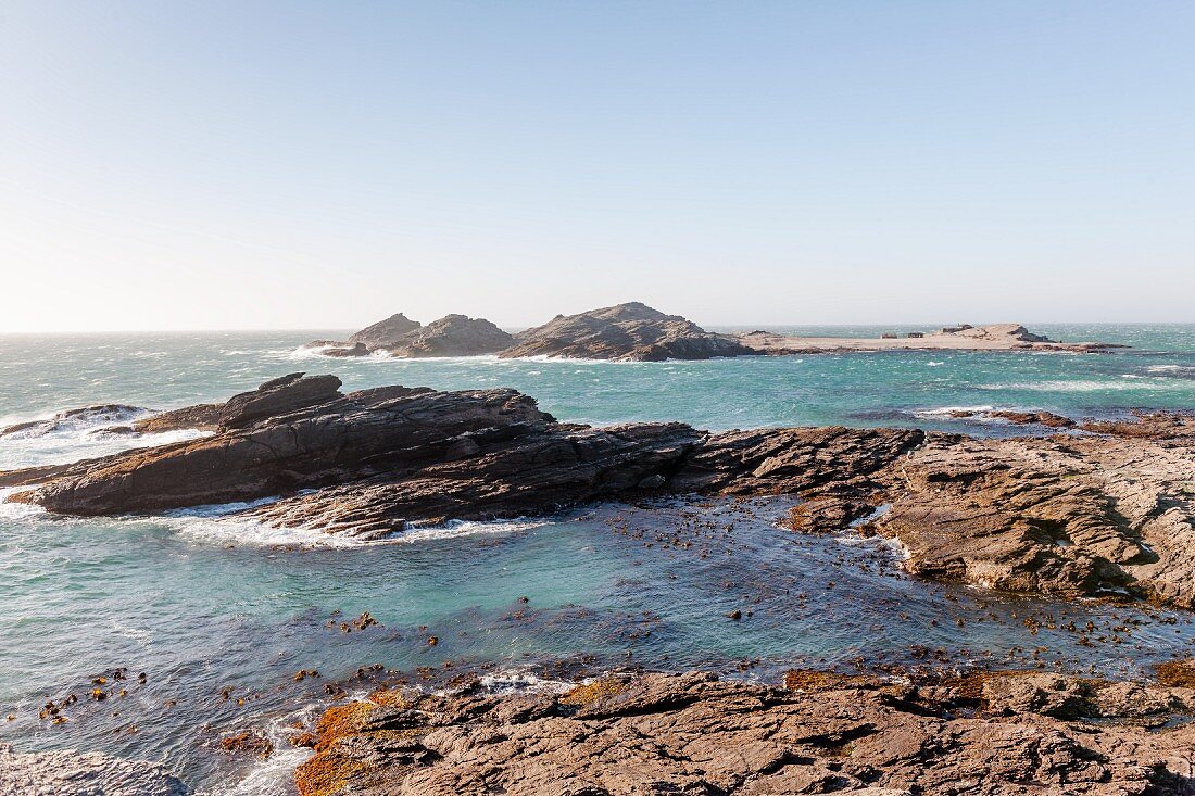 Halifax Island, eine Felseninsel vor der Küste der Lüderitz-Halbinsel in Namibia - ein Paradies für Pinguine