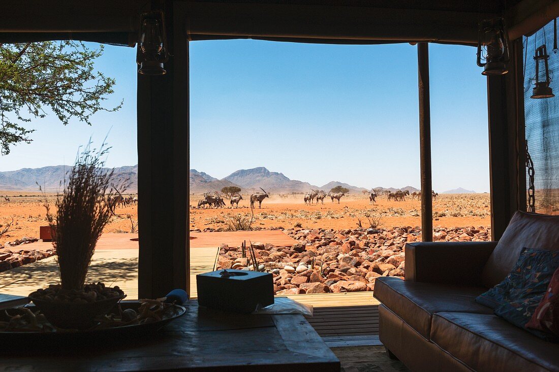 Wolwedans, NamibRand Nature Reserve, Namibia, Afrika - a view from the private lodge looking towards the watering hole