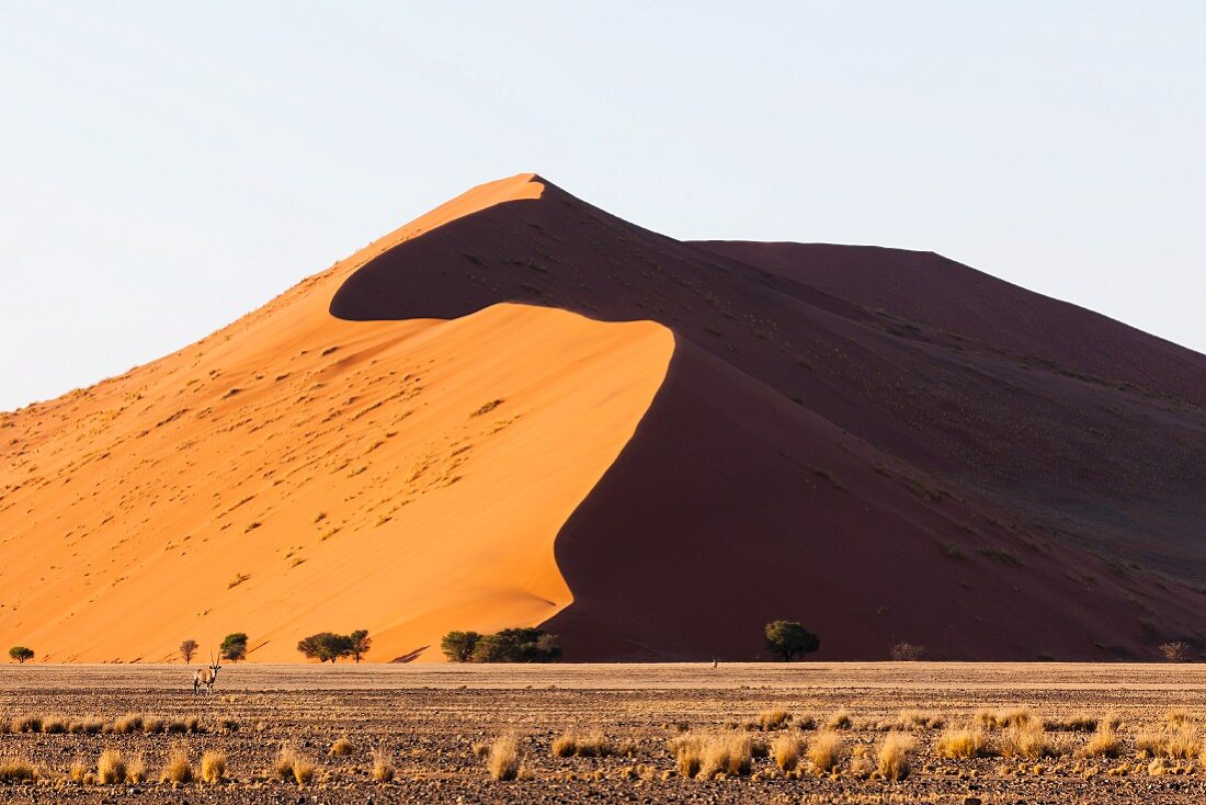 Sterndünen nennt man die Sandberge bei Sossusvlei, Namibia, Afrika - die zählen mit bis zu 380 Metern zu den höchsten der Welt