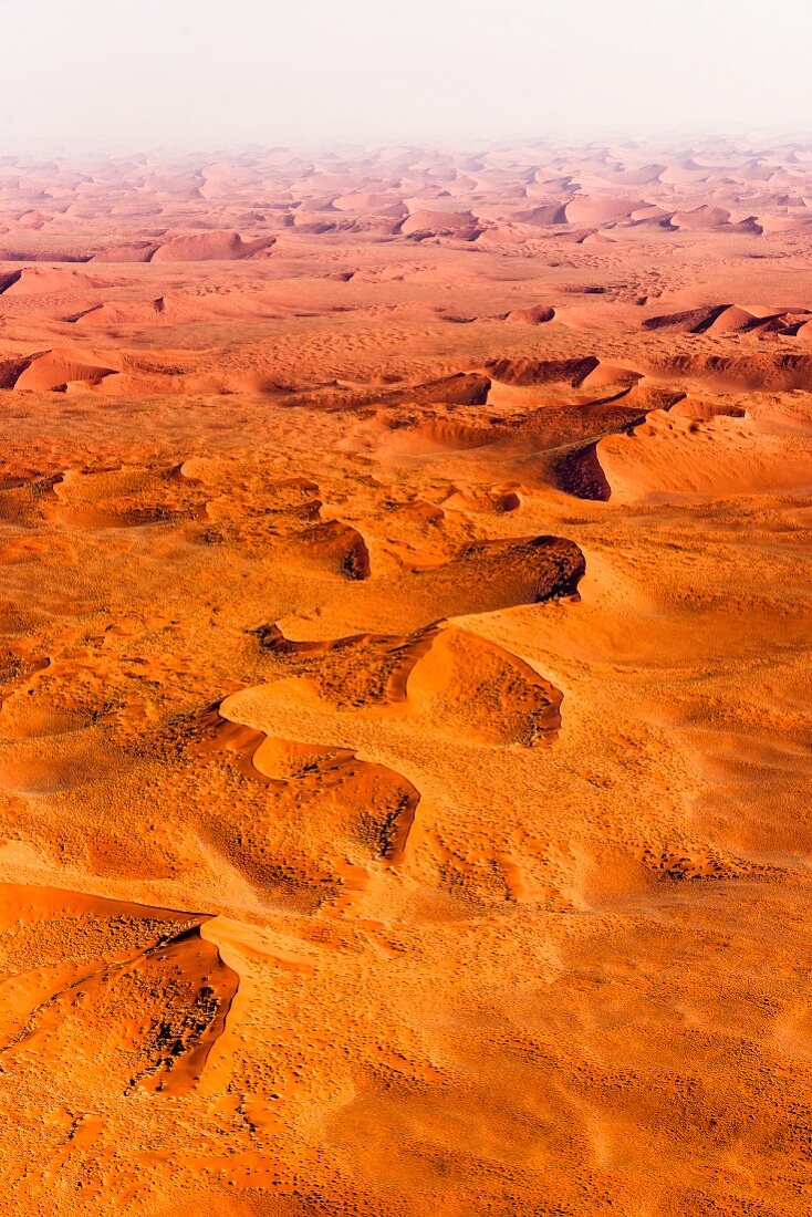 Roter Teppich - je weiter man ins Landesinnere der Namib dringt, desto rötlicher ist der Sand - Namibia, Afrika