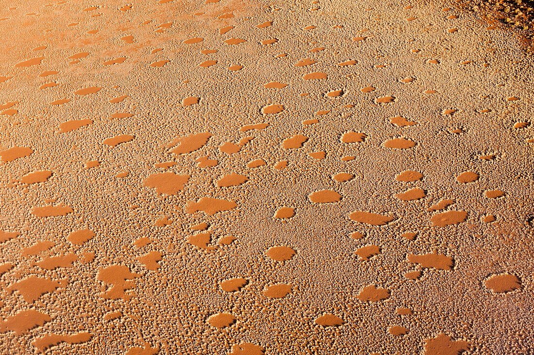 Feenkreise (vegetationslose Flächen) in der Namib-Wüste, Namibia, Afrika
