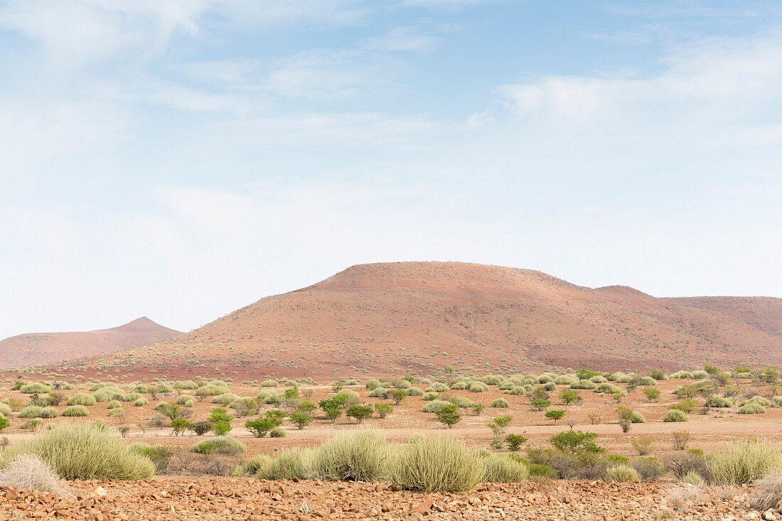 Landscape near Sesfontein, Kunene Province, Namibia, Africa