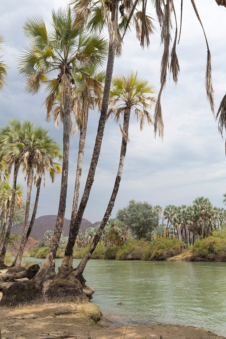 Kunene River, border between Namibia and Angola, Epupa Falls, Kunene Province, Namibia, Africa