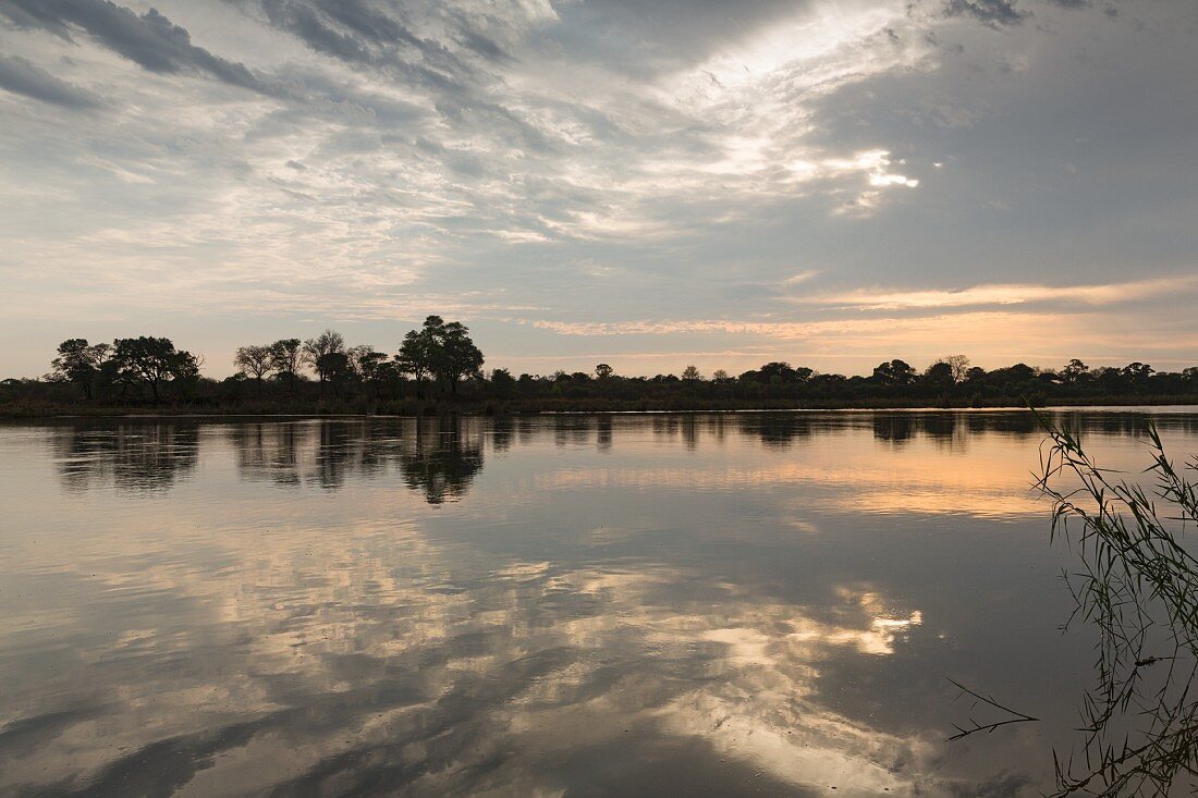 Blick von der Ndhovu Safari Lodge in den Spiegelungen der Okavango, Caprivi, Namibia
