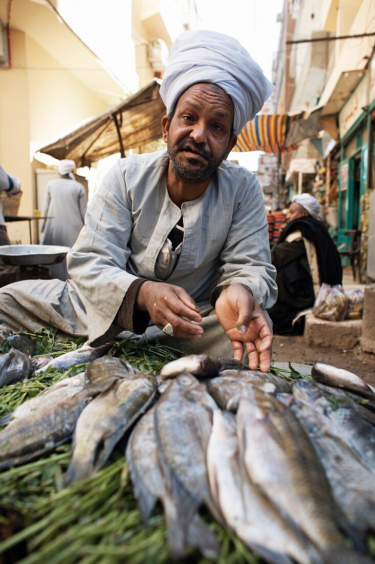 A fish seller at Luxor Souq, Egypt, North Africa