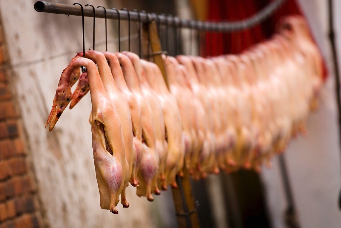Freshly slaughtered ducks hanging in Kunming, Yunnan, China, Asia