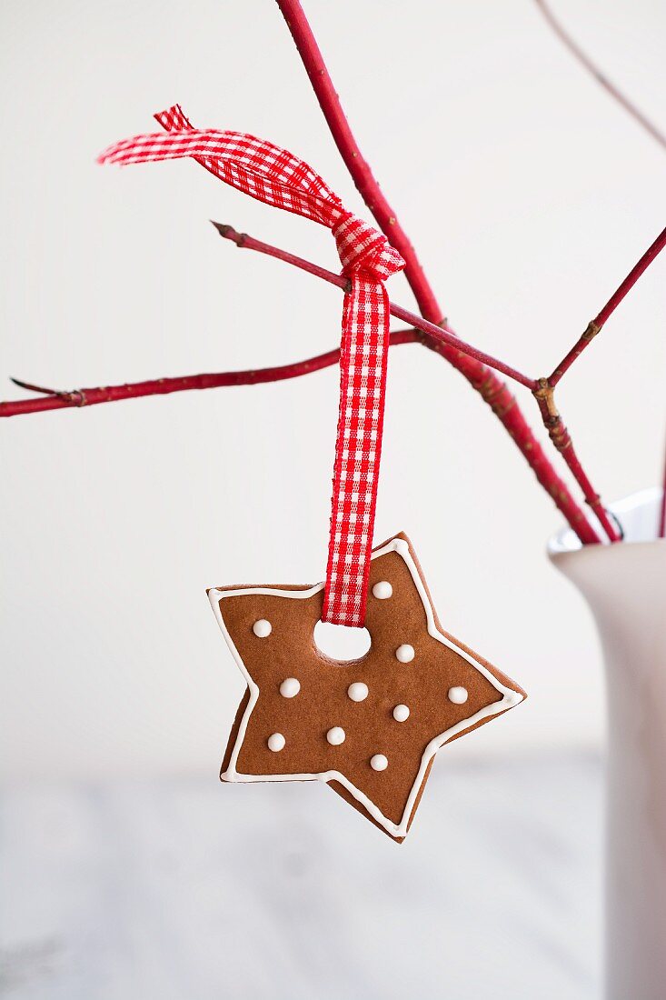 A gingerbread star hanging from a twig