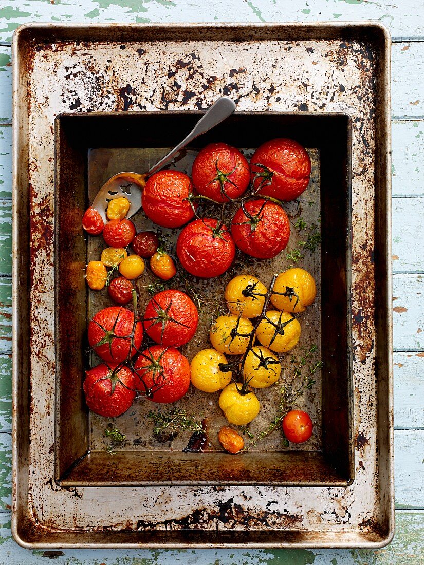 Langsam gebratene Heirloom Tomaten auf Backblech (Draufsicht)