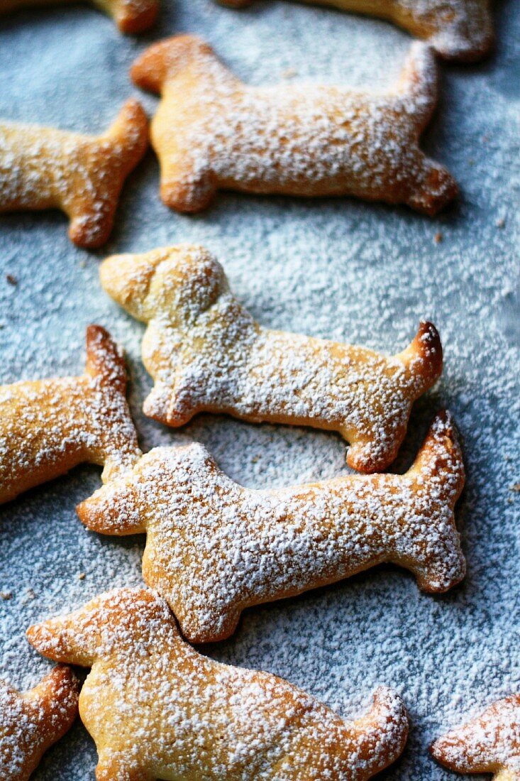 Dachshund-shaped shortbread biscuits