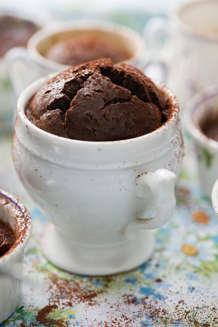 Schokoladentöpfchen mit Kakaopulver