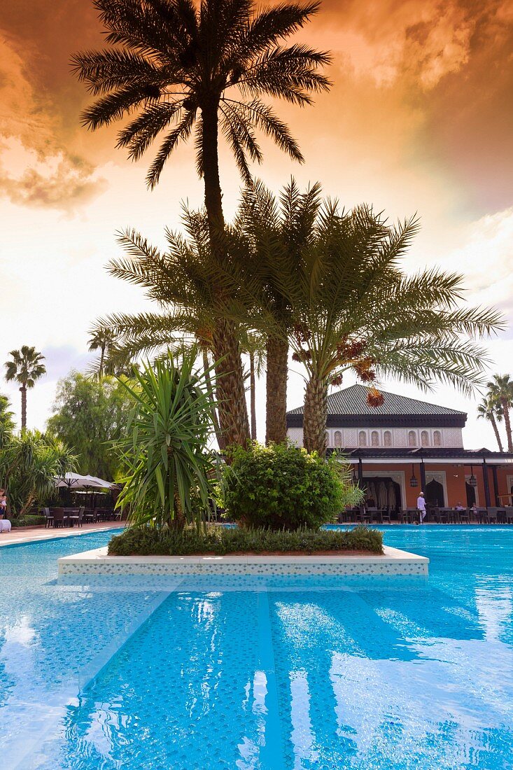 A palm tree island in a pool, Hotel La Mamounia in Marrakesh, Morocco