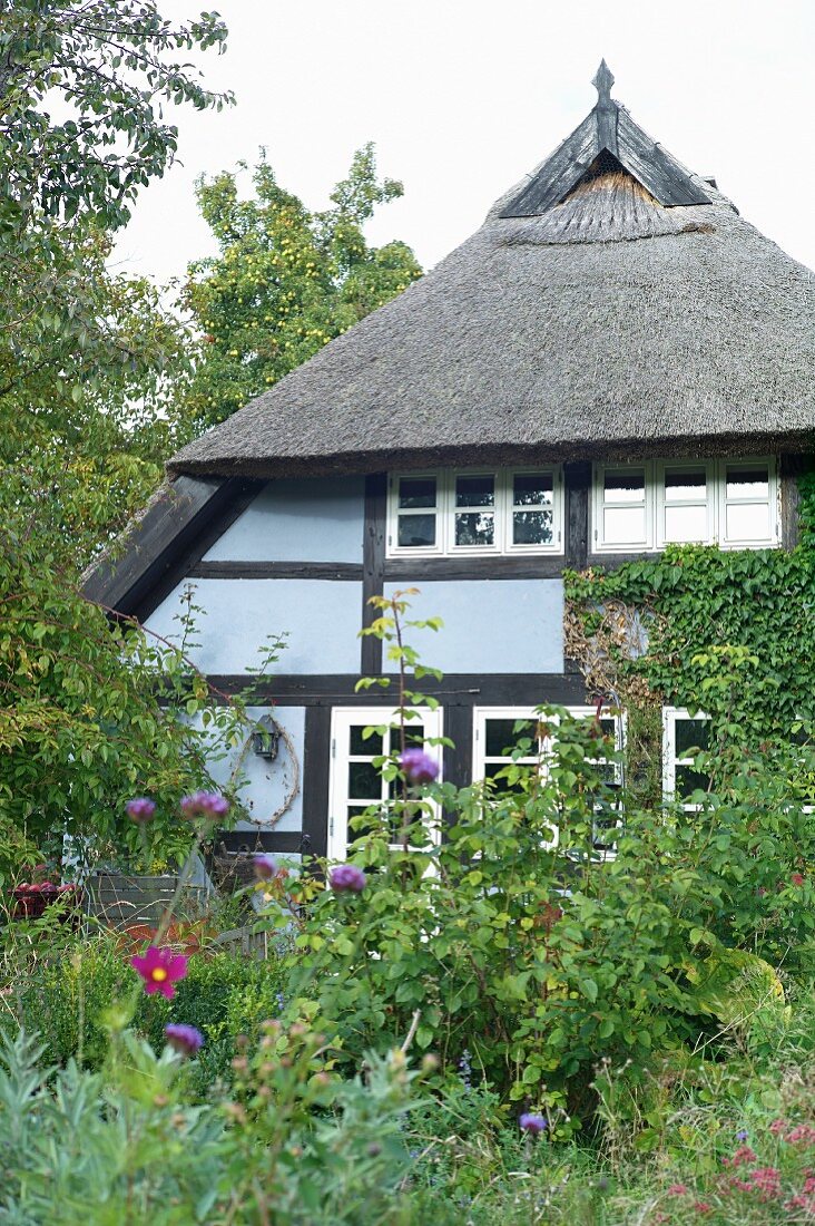 A beautiful thatched roof house with a wild garden, Quilitz in Lieper Winkel, Usedom, Mecklenburg-Vorpommern